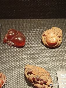Museo Archeologico-乌迪内
