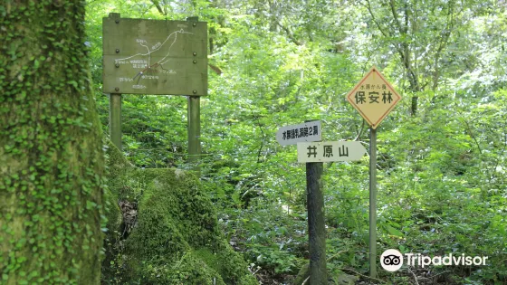 井原山