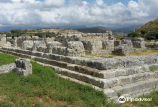 Himera Sito Archeologico e Museo景点图片