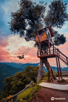 La Casa del Arbol-巴尼奥斯县