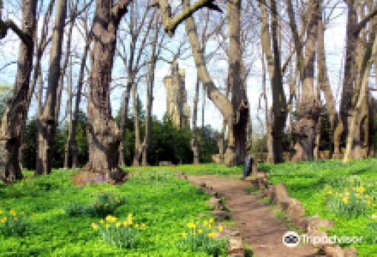 Guisborough Priory景点图片