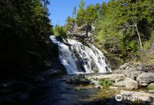 Laverty Falls景点图片