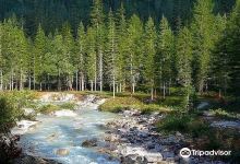 Fiume Boite景点图片