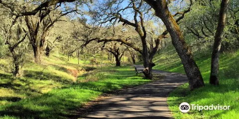 索諾瑪山谷地區公園