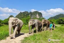 Krabi Elephant Sanctuary景点图片