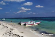 National Reef Park Of Puerto Morelos景点图片