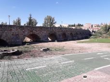 罗马古桥-萨拉曼卡