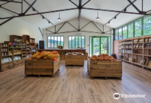 Les Noyeraies du Landers景点图片