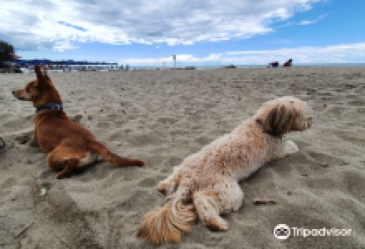 Bau Bau Beach景点图片