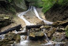 Kozjanski park / Kozjansko Regional Park景点图片