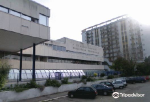 Biblioteca Provinciale 'La Magna Capitana'景点图片