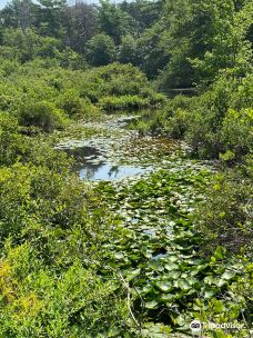 Wellfleet Bay Wildlife Sanctuary-韦尔弗利特