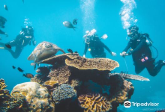 Mikumba Diving购物图片