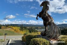 'The Whitehorse Horse'景点图片