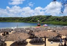 Lagoa de Arituba景点图片