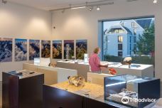 Naturmuseum St Gallen-圣加仑