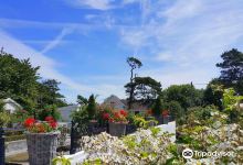 Smag & Behag Bjellandstrand景点图片