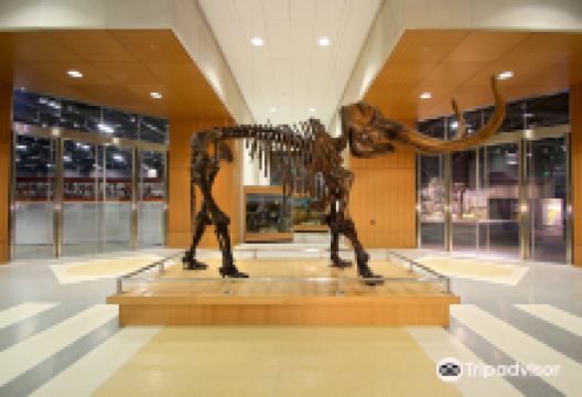 North Dakota Heritage Center景点图片