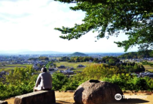 甘樫丘景点图片