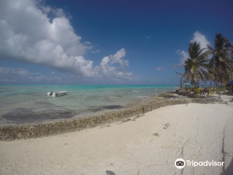 cayo el acuario旅游图片