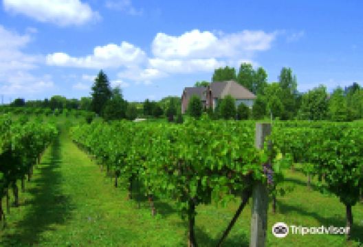 Valentino Vineyards景点图片