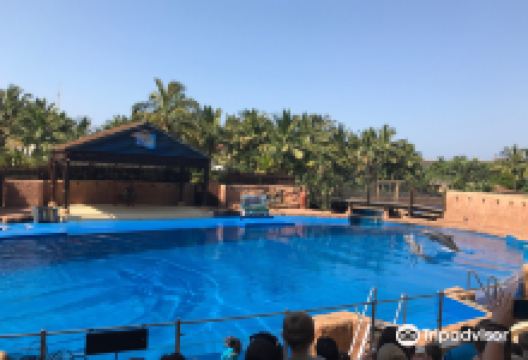 德班乌沙卡水底世界水族馆景点图片