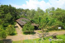 Sun Bear Education and Conservation Center-Karang Joang