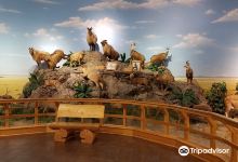Cabela's购物图片