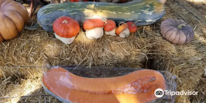 Lavender Hill School