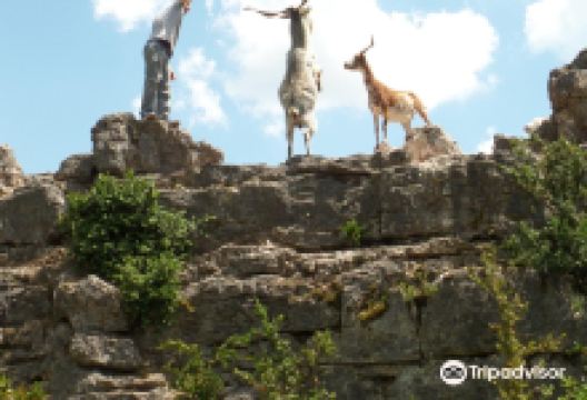 Parc le Theil景点图片