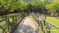 I Giardini di Cataldo-索伦托