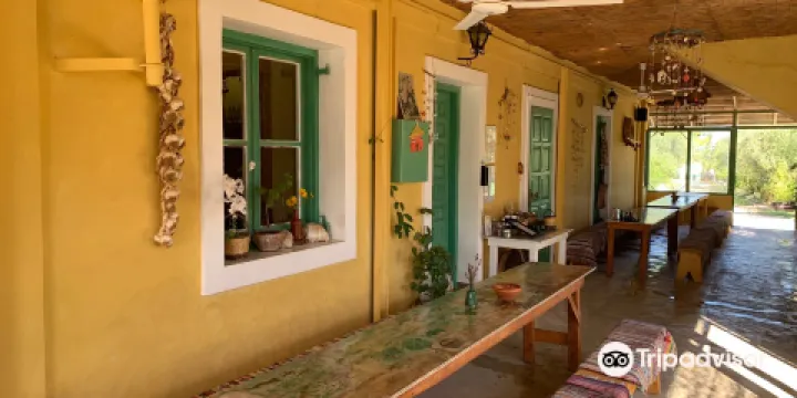 Therianos有機農場