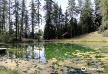 Foret Domaniale de Boscodon景点图片