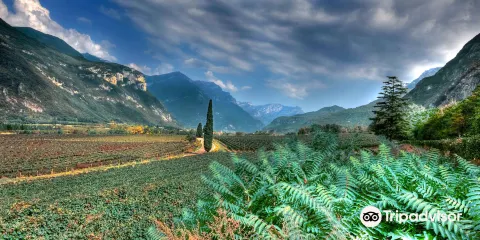 Azienda Agricola Albino Armani 1607