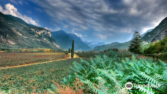 Azienda Agricola Albino Armani 1607