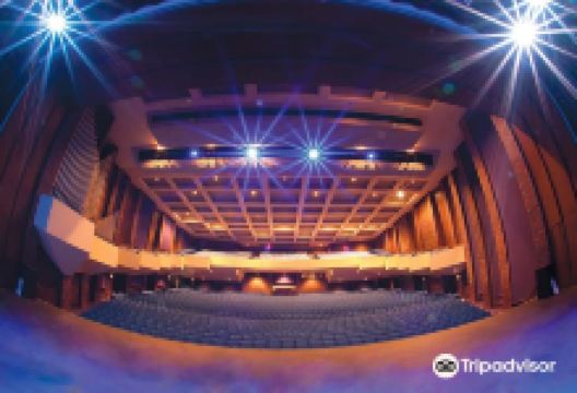 Kirkland Fine Arts Center景点图片
