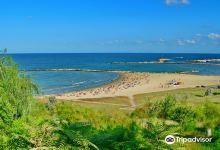 Constanta Beach景点图片