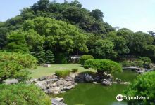 Tokushima Castle Ruins景点图片