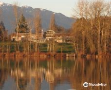 中央公园-本那比