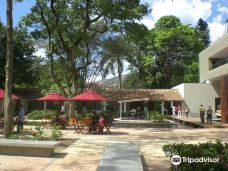 Jardin Botanico Medellin-麦德林