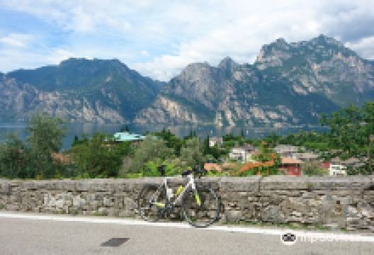 Mandelli Bike购物图片