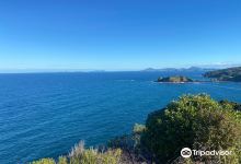 Tutukaka Headland景点图片
