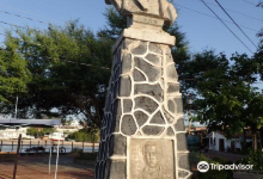 Busto de Charles Darwin.景点图片