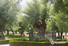 Prado Nuevo景点图片