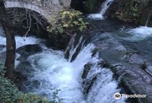 Springs of Krya景点图片