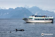 Kenai Fjords Tours-西沃德