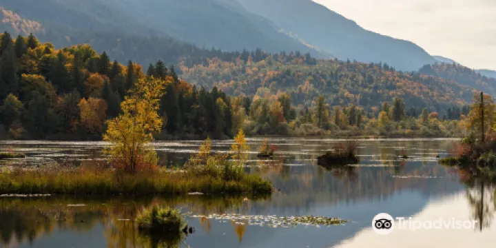 Cheam Lake Wetlands Regional Park