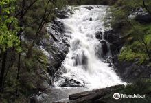 Greater Beedelup National Park景点图片