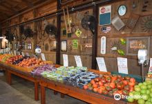 Szalay's Farm & Market购物图片