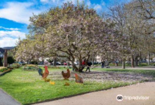 Jardin de Ville景点图片